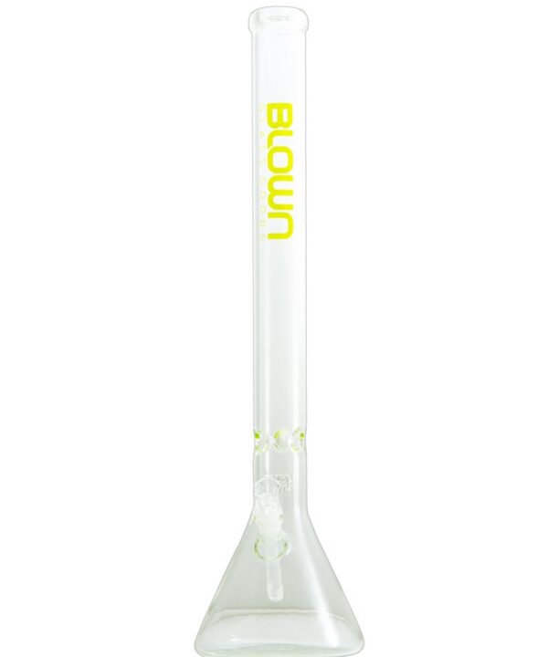 Daily Driver - Scientia (XL)